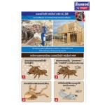 BegerDrite พรีเว้นท์ พลัส SC 200 สำหรับเทราดพื้นดิน (สูตรน้ำ กลิ่นไม่ฉุน) 250 ml.