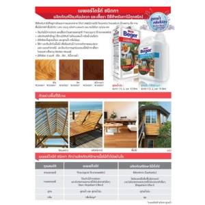 BegerDrite ผลิตภัณฑ์ป้องกันปลวกและเชื้อรา ชนิดทา (สูตรน้ำ) กลิ่นไม่ฉุน สีน้ำตาลดำ 1กระป๋อง