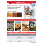 BegerDrite ผลิตภัณฑ์ป้องกันปลวกและเชื้อรา ชนิดทา (สูตรน้ำ) กลิ่นไม่ฉุน สีชา 1กระป๋อง